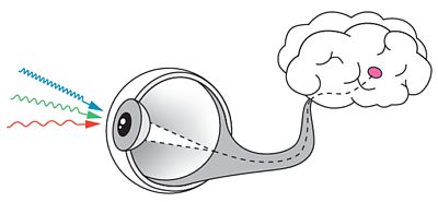 knowledge_auge.png