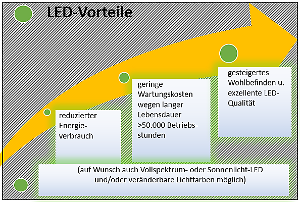 Vorteile LED Umrüstung