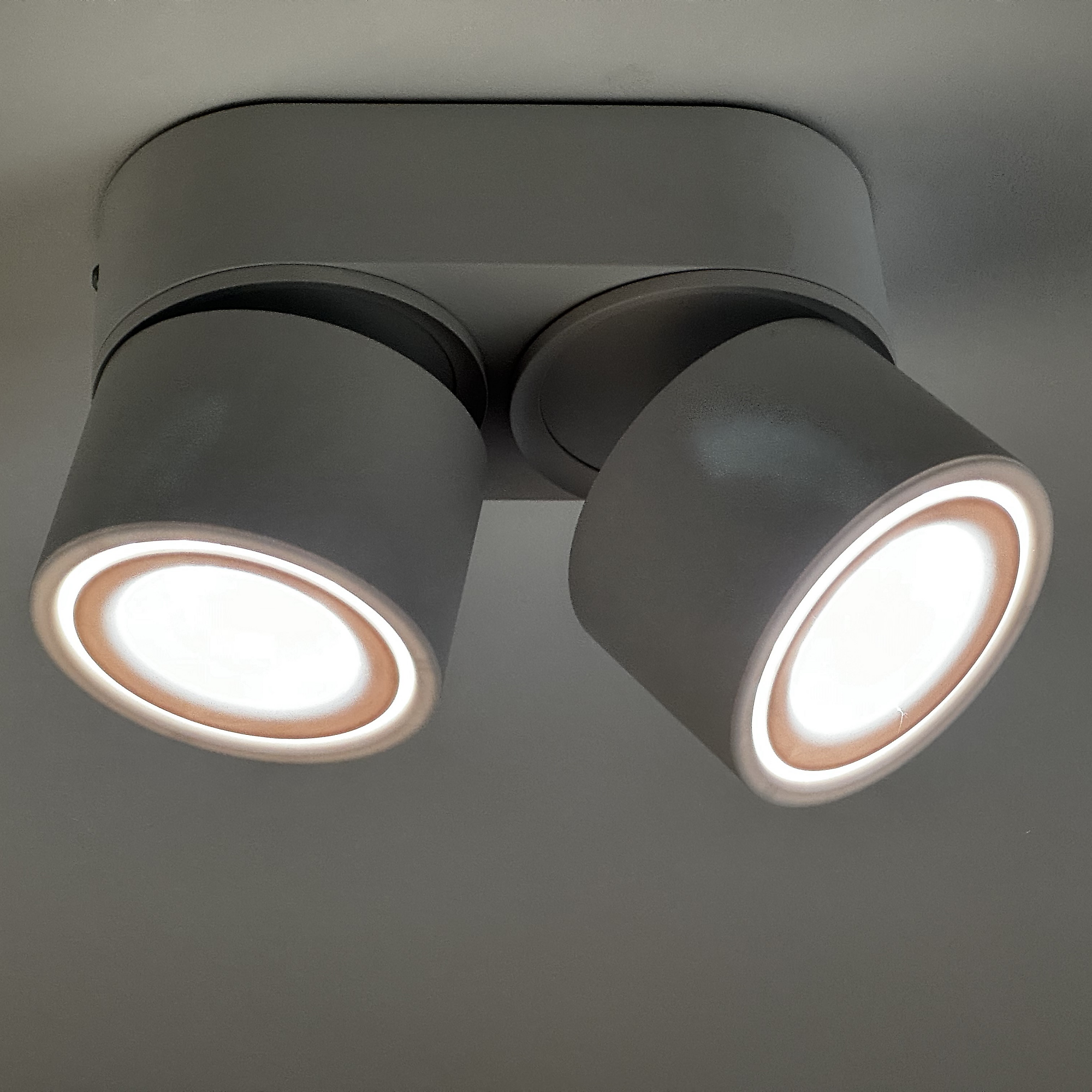 Sonderstrahler 2 Kopf-Strahler - schwenkbar und drehbar mit Vollspektrum LED - Sonderstrahler 2 Kopf-Strahler - schwenkbar und drehbar mit Vollspektrum LED