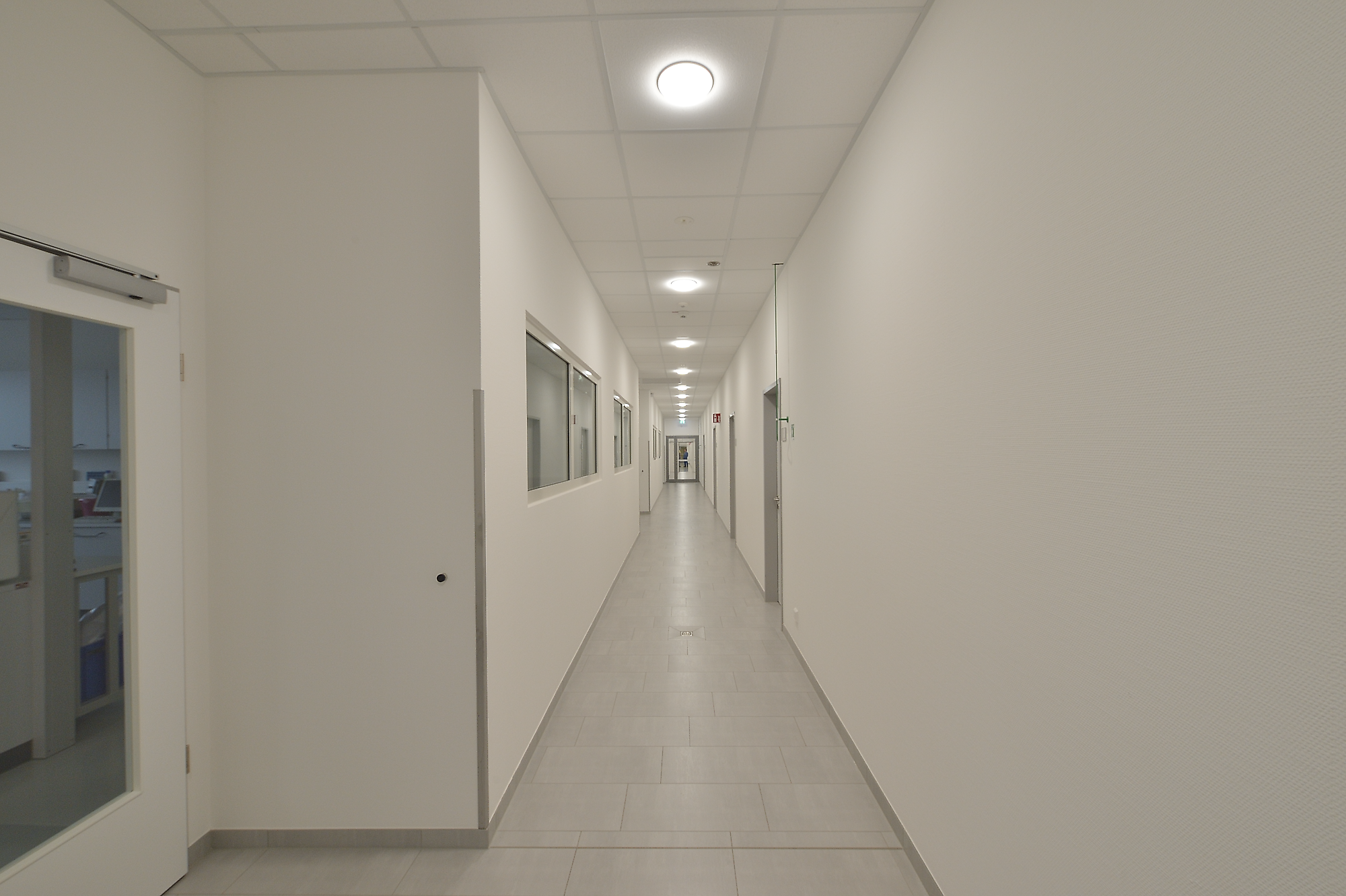 Human Magdeburg | Branche: Industrie und Gewerbe