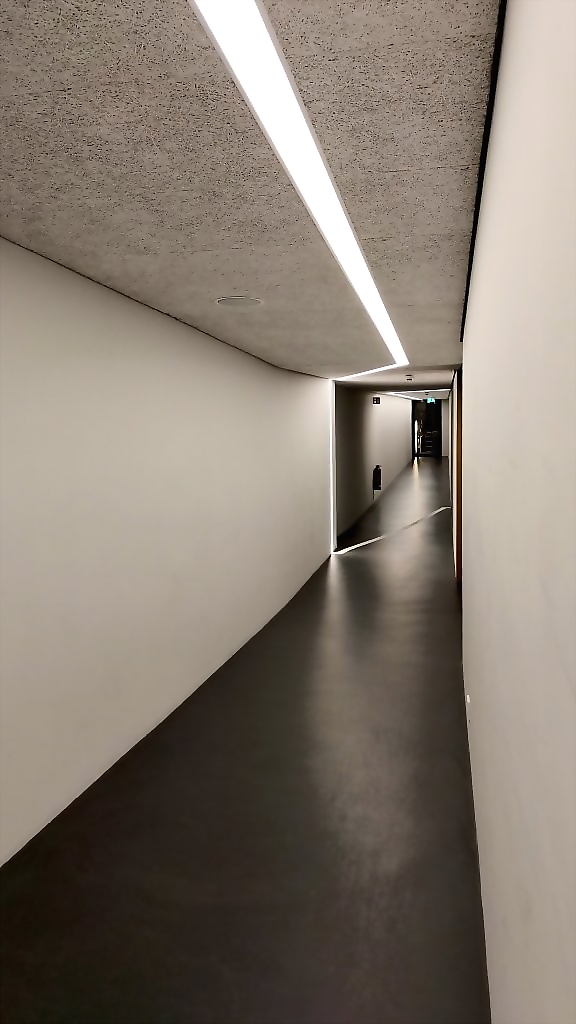 Leuchtende Linien für den FT Sportpark Freiburg | Branche: Kunst und Kultur