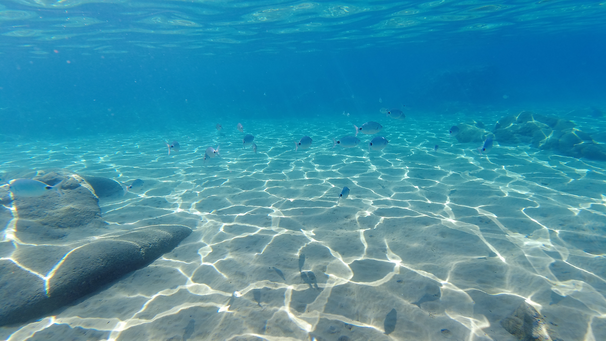 projects kunst und kultur pfahlbauten unteruhldingen am bodensee image