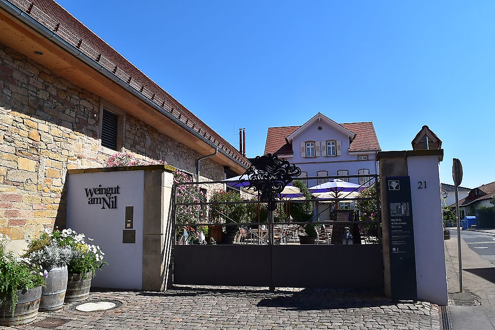 projects praesentation und verkauf weingut am nil kallstadt image