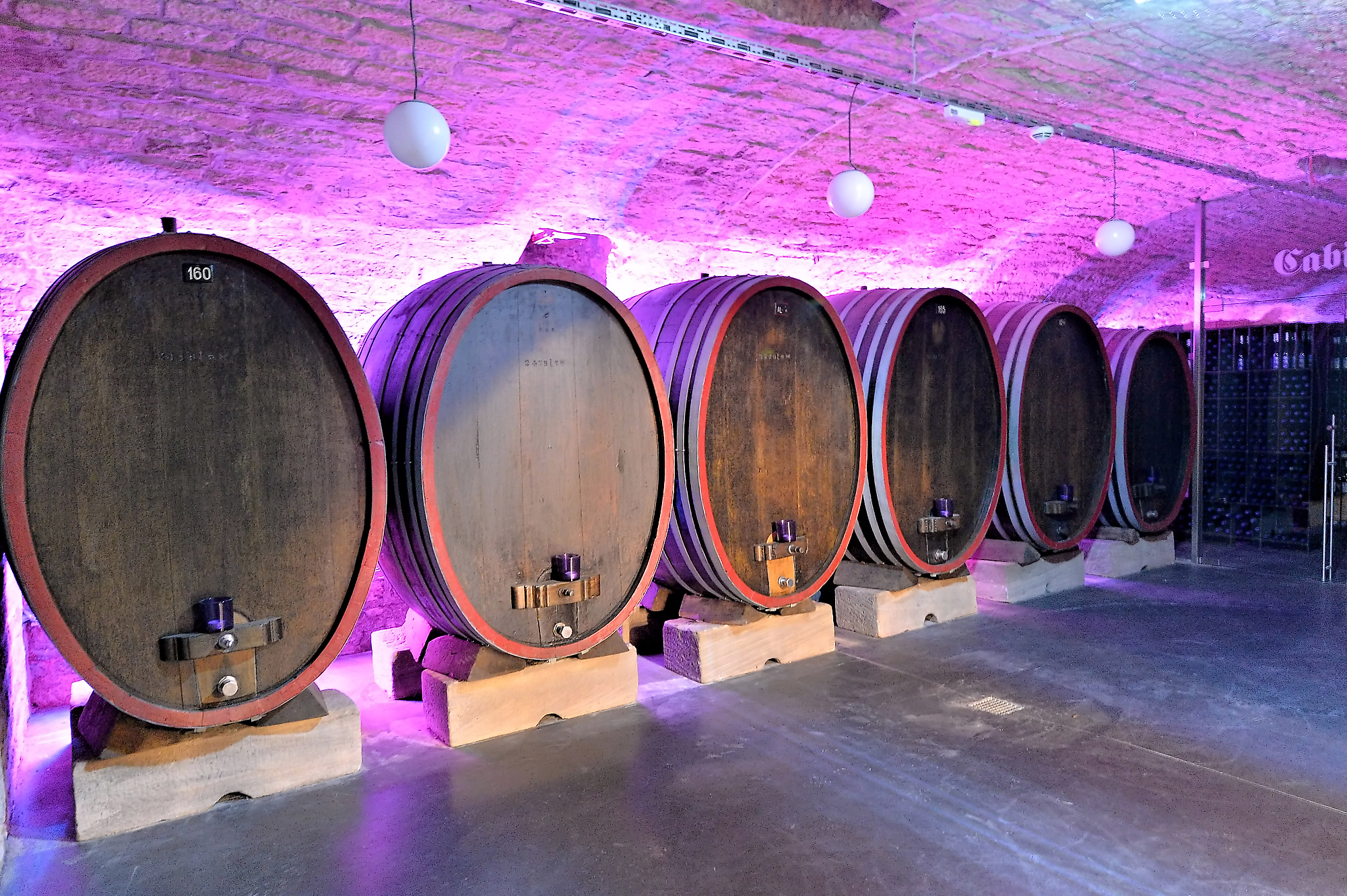 Weingut am Nil Kallstadt - Sanierung des Weinkellers im Weingut am Nil in Kallstadt