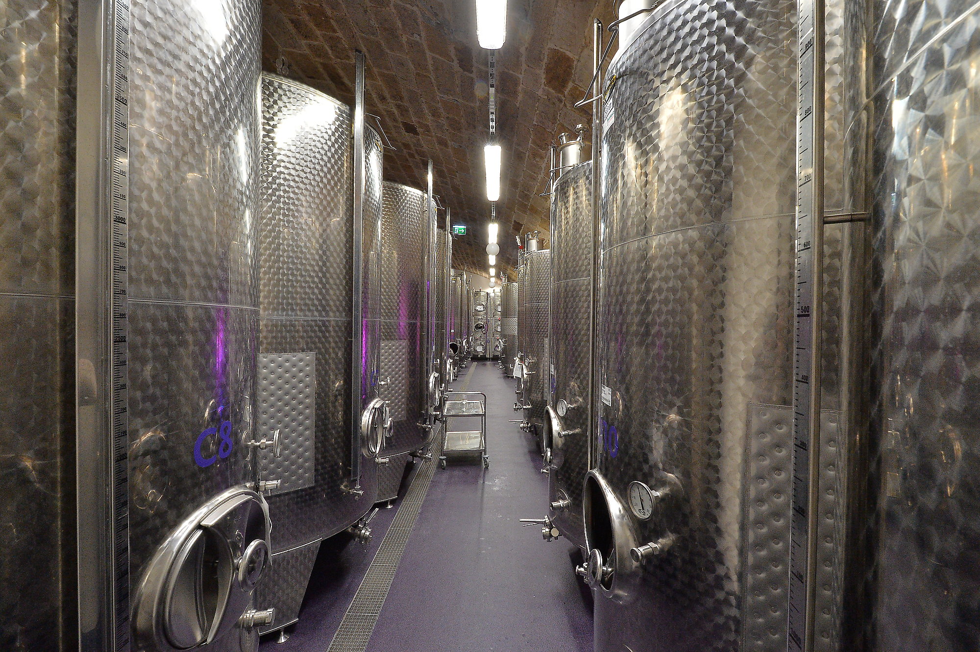 Weingut am Nil Kallstadt - Sanierung des Weinkellers im Weingut am Nil in Kallstadt