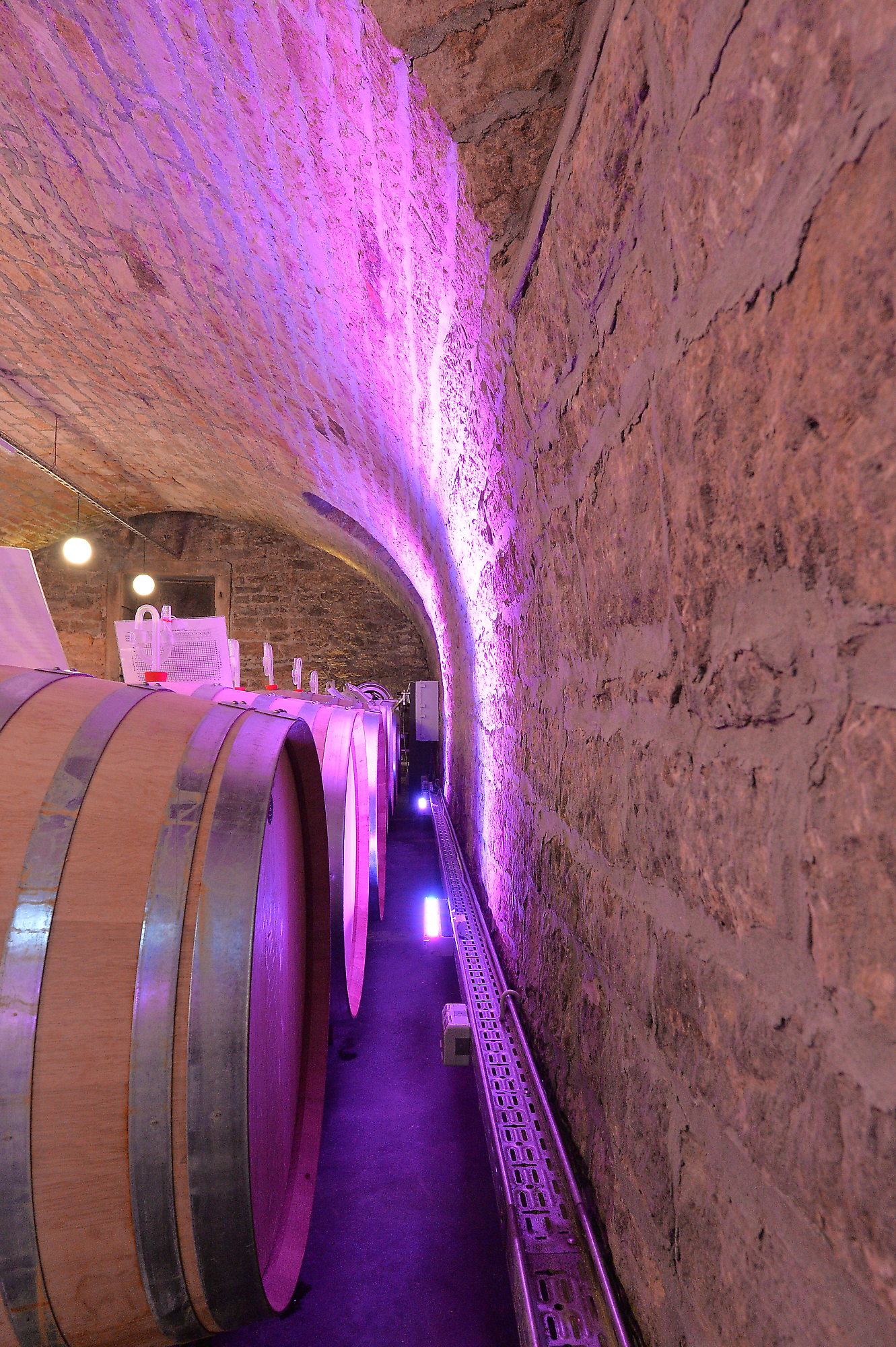 projects praesentation und verkauf weingut am nil kallstadt image