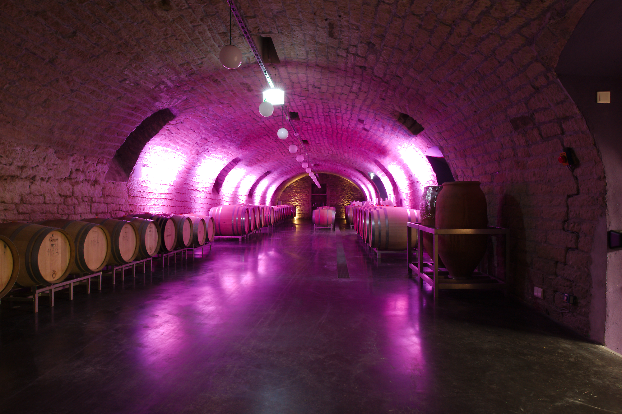 projects praesentation und verkauf weingut am nil kallstadt image