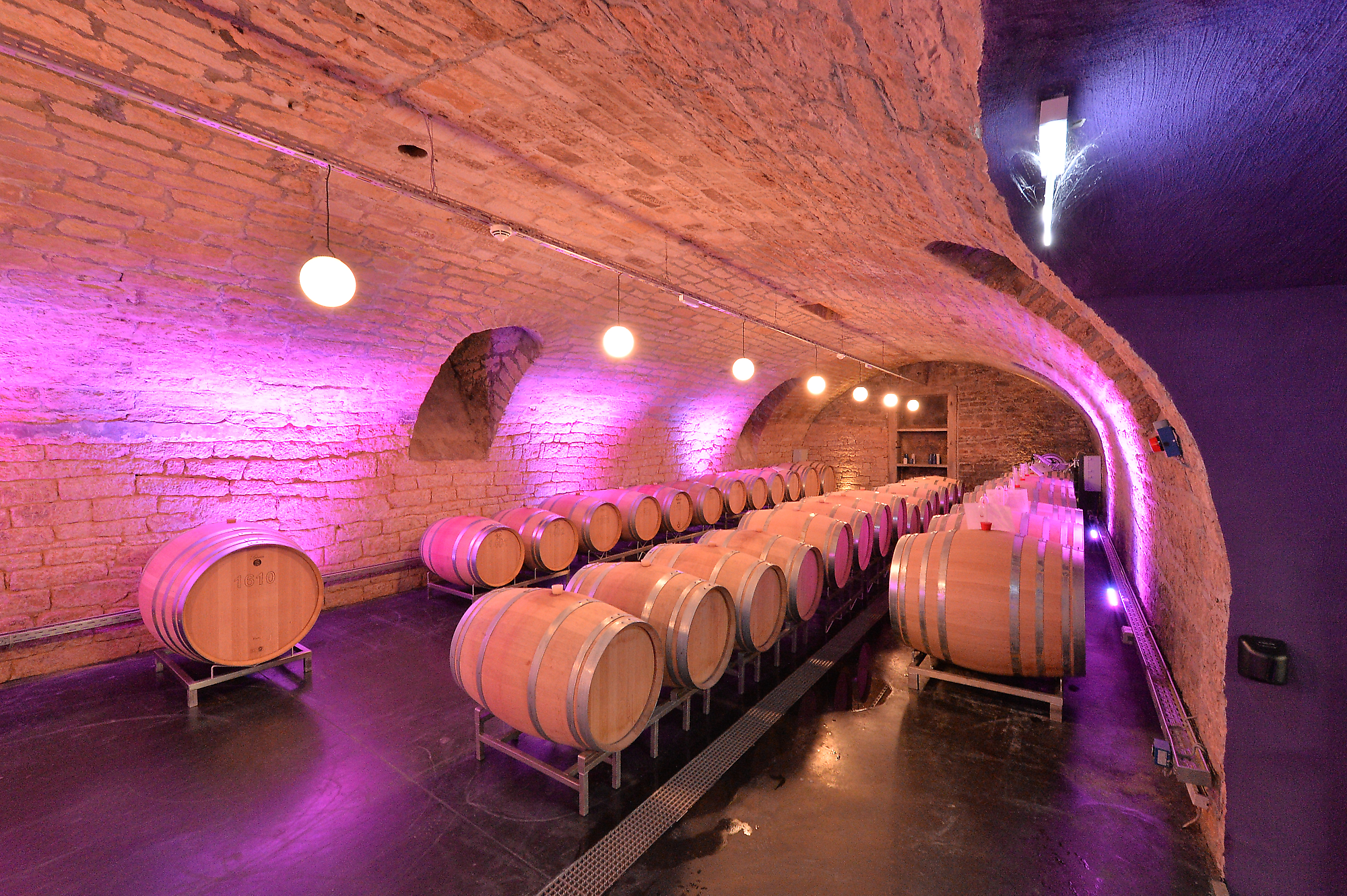 projects praesentation und verkauf weingut am nil kallstadt image