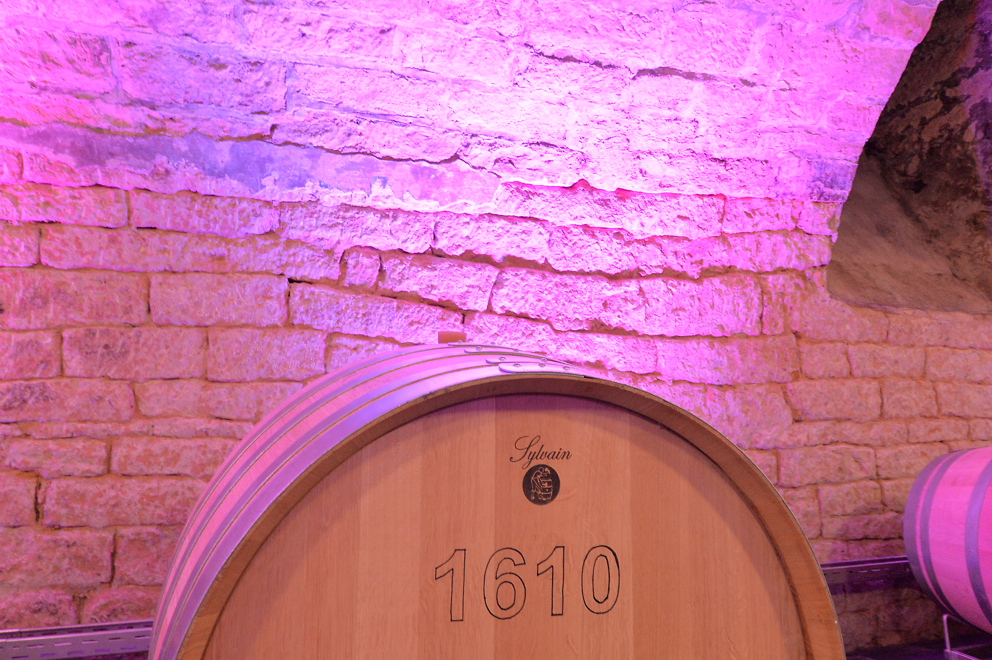 projects praesentation und verkauf weingut am nil kallstadt image