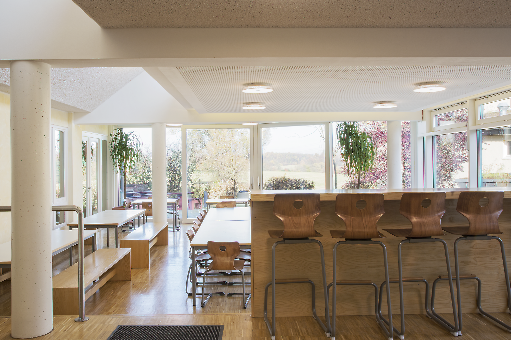 Freie Waldorfschule Haan Gruiten | Branche: Waldorfschulen