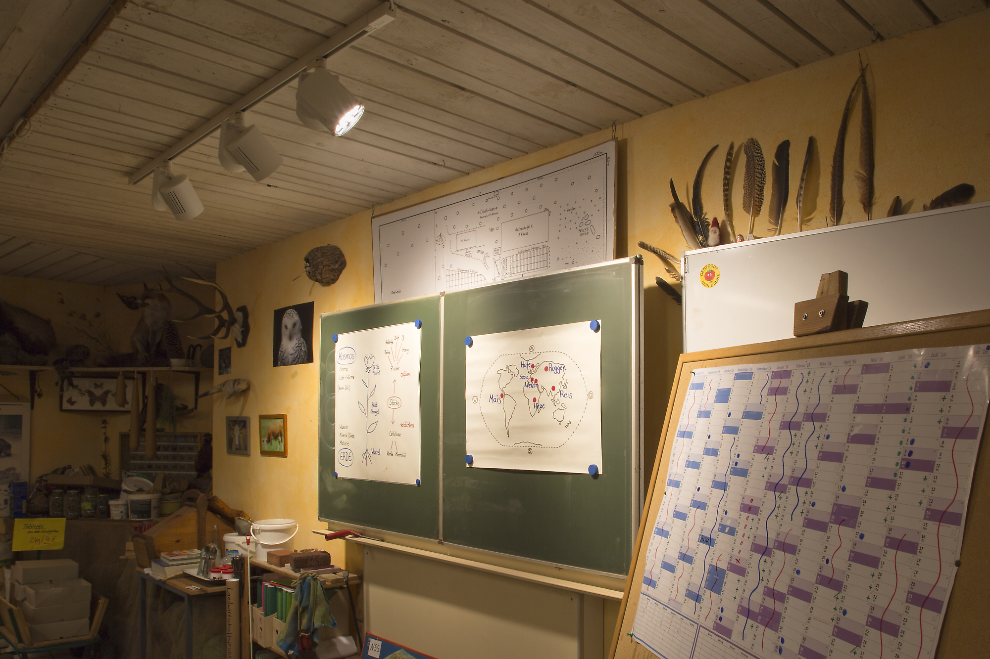 projects waldorfschulen freie waldorfschule otterberg image